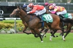 Perignon To Settle Back In Flight Stakes
