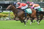 Perignon To Settle Back In Flight Stakes Perignon To Settle Back In Flight Stakes