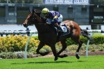 McEvoy keen to win Adeliade Cup with Big Memory McEvoy keen to win Adeliade Cup with Big Memory