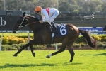 Memsie Stakes to decide Messene’s Spring program Memsie Stakes to decide Messene’s Spring program