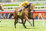 Forgotten Filly To Return On Saturday