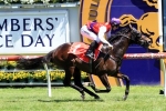 Golden Spin continues to firm in Manfred Stakes betting Golden Spin continues to firm in Manfred Stakes betting