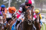 Melbourne Racing Club Apologises For Caulfield Track Melbourne Racing Club Apologises For Caulfield Track