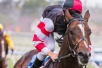 Lord Of The Sky to threaten Caulfield 1000m record Lord Of The Sky to threaten Caulfield 1000m record