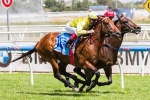 Bull Point To Be Ridden On Speed In The Manfred Stakes