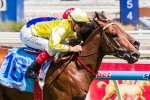Bull Point is Oliver’s choice for Manfred Stakes Bull Point is Oliver’s choice for Manfred Stakes