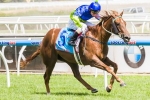 Eloping Could Surprise In Golden Slipper