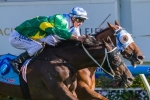 Instrumentalist has several hurdles to overcome in Queensland Cup Instrumentalist has several hurdles to overcome in Queensland Cup