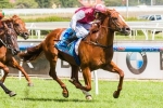 Mile To Suit Darley Duo In 2014 J.J. Atkins