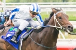 Golden Rose 2013: Clarke Fancies His Chances On Dissident Golden Rose 2013: Clarke Fancies His Chances On Dissident