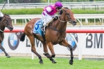 Price Not High On Loveyamadly’s Chances In The Kensington Stakes Price Not High On Loveyamadly’s Chances In The Kensington Stakes
