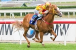 Miracles Of Life Thriving Ahead Of Champagne Stakes Miracles Of Life Thriving Ahead Of Champagne Stakes