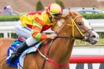 Colic forces Miracles Of Life out of Sportingbet Classic