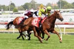 Sword Of Light draws barrier 13 in Ladbrokes Blue Diamond Prelude Sword Of Light draws barrier 13 in Ladbrokes Blue Diamond Prelude
