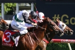 Grande Rosso to step up to G1 company after John Dillon Stakes win Grande Rosso to step up to G1 company after John Dillon Stakes win