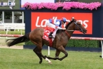Blue Diamond Stakes start for Property not confirmed