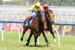 The Quarterback To Take Improvement Out Of CS Hayes Stakes Run