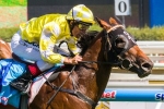 Bull Point nominated for the Futurity Stakes