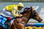 McEvoy Thrilled to Saddle Bull Point McEvoy Thrilled to Saddle Bull Point