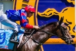Nayeli to improve in Inglis 3yo Guineas Nayeli to improve in Inglis 3yo Guineas