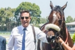 Pyrrolic To Return To Racing In The Autumn Stakes Pyrrolic To Return To Racing In The Autumn Stakes