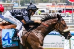 Scratchy Bottom’s South Australian Derby Odds Shorten