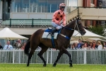 Conners will be happy to be runner-up to Black Caviar