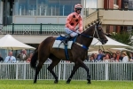 Team Hawkes to train Black Caviar’s $5m half-brother