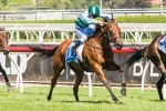 Caulfield Cup berths up for grabs in Mornington Cup