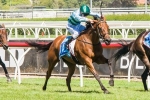Caulfield Cup berths up for grabs in Mornington Cup Caulfield Cup berths up for grabs in Mornington Cup