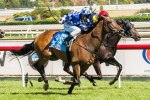 Future Solution To Take Benefit From Chester Manifold Stakes Run