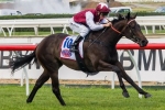Darley could have four Blue Diamond runners