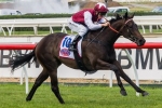 Darley could have four Blue Diamond runners Darley could have four Blue Diamond runners