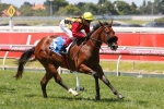 Williams selects Kinky Boom as his Blue Diamond Stakes mount