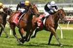 Big Memory Primed for Mornington Cup