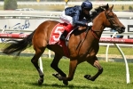 Change Of Plans sees Formality running in Black Caviar Lightning