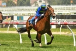 Blue Diamond Stakes fancy Jukebox ready for ‘The Big Dance’