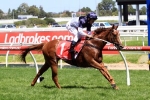 Oliver still non-committal to Blue Diamond favourite Extreme Choice