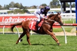 Newitt Bullish About Extreme Choice In Ladbrokes Blue Diamond Stakes Newitt Bullish About Extreme Choice In Ladbrokes Blue Diamond Stakes