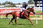 Newitt Bullish About Extreme Choice In Ladbrokes Blue Diamond Stakes