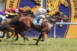 Money For A Time For Julia In 2015 Oakleigh Plate Betting