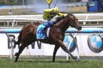 Rubick On Track For Schillaci Stakes Resumption