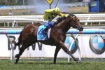 Rubick On Track For Schillaci Stakes Resumption Rubick On Track For Schillaci Stakes Resumption