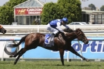 2014 Rosehill Guineas Tips: Beirne Keen On Puccini