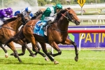 All Too Hard Wins Trial Ahead Of All Aged Swan Song