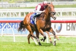 1000 Guineas Path For Guelph