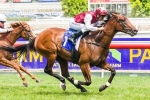 McEvoy draws wide gates for Blue Diamond chances McEvoy draws wide gates for Blue Diamond chances