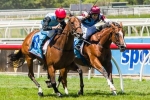 Octavia Joins Stars Heading To Cockram Stakes