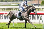 Childs Expecting Zlatan To Take Plenty Of Improvement Out Of Racing Return Childs Expecting Zlatan To Take Plenty Of Improvement Out Of Racing Return