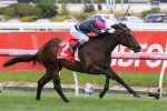 I Am Immortal firms in 2019 Ladbrokes Blue Diamond Stakes betting after Prelude win